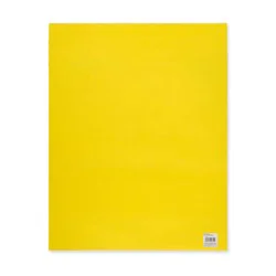 Creatology Poster Board 22" x 28"