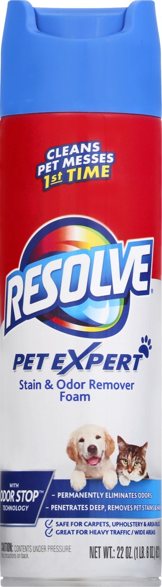 slide 1 of 9, Resolve Pet Expert Stain & Odor Remover Foam 22 oz, 22 oz