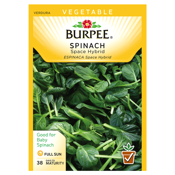 slide 1 of 1, Burpee Spinach, Space Hybrid, 1 ct