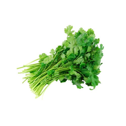 slide 1 of 1, cilantro, 1 ct