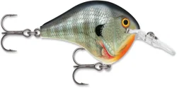 Dives-To 06 Bluegill