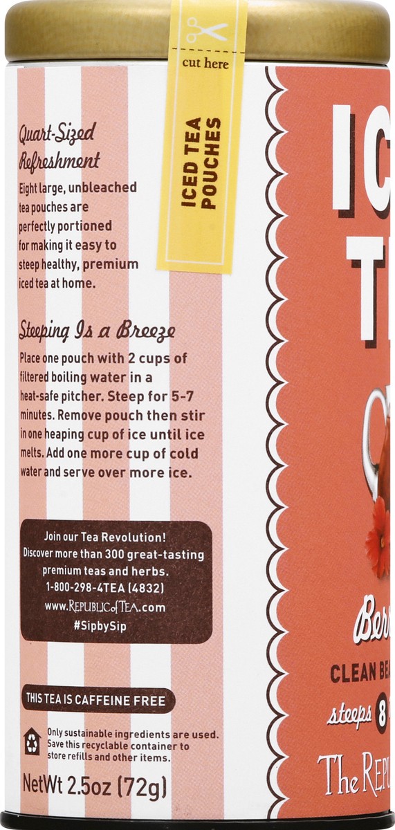 slide 7 of 11, The Republic of Tea Pouches Berry Aloe Iced Tea - 2.5 oz, 2.5 oz