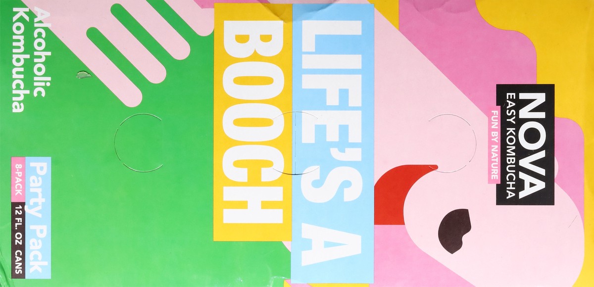 slide 3 of 13, Nova Easy Kombucha Party Variety Pack 8 Pack In Cans - 12 Fl. Oz., 12 fl oz