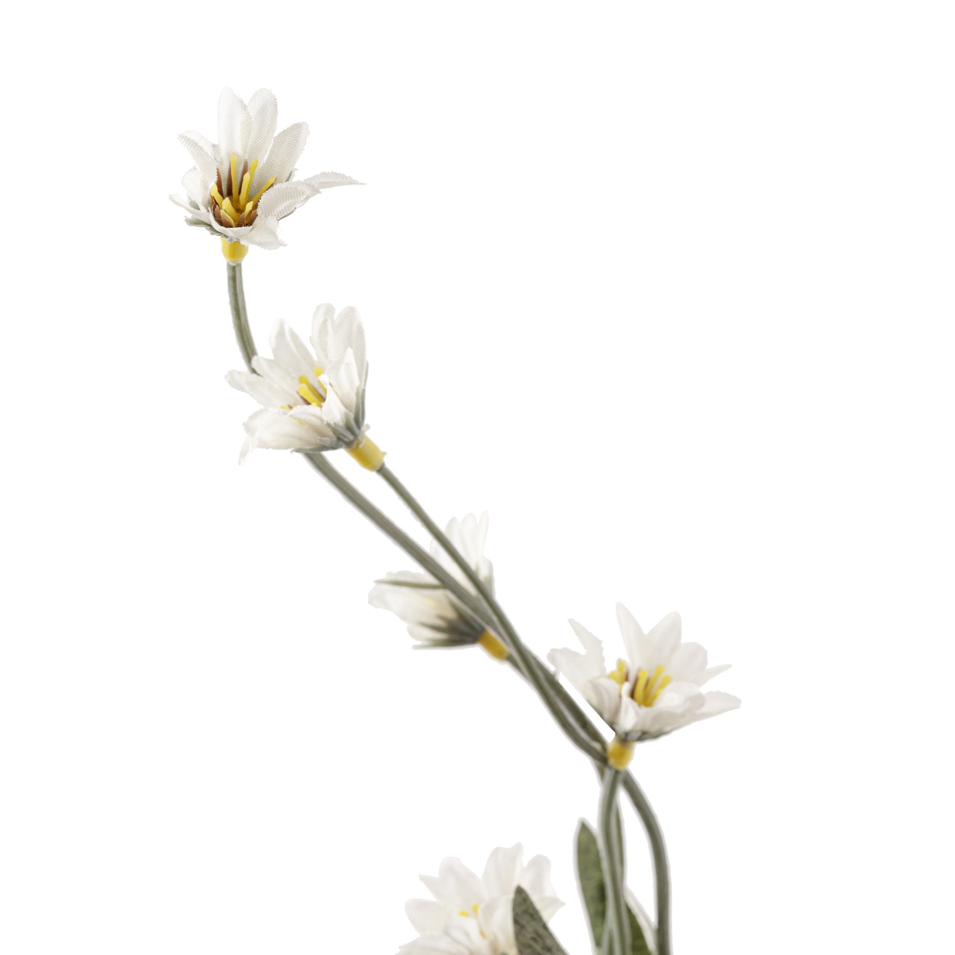 slide 2 of 4, Cream Wild Daisy Spray By Ashland, 29 in