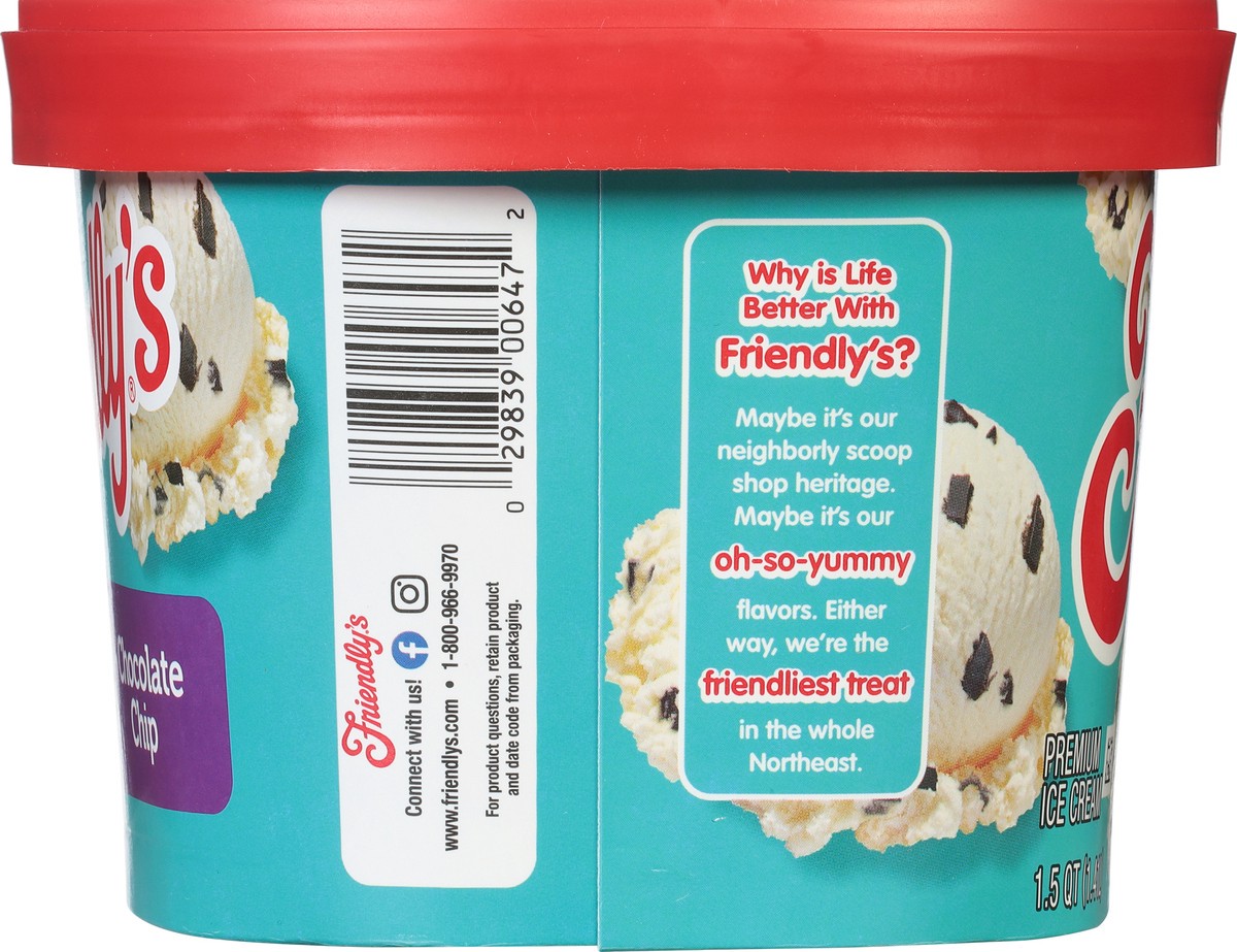 slide 8 of 9, Friendly's Premium Ice Cream / Chocolate Chip, 48 fl oz