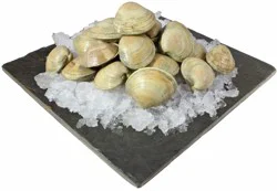 Fresh Littleneck Clams
