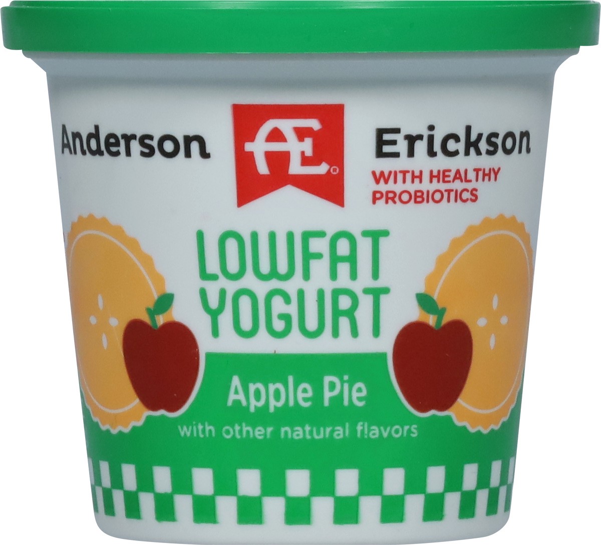 slide 5 of 11, Anderson Erickson Dairy Lowfat Apple Pie Yogurt 6 oz, 6 oz