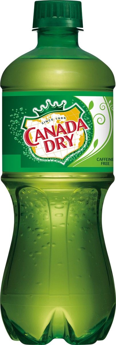 slide 7 of 7, Canada Dry Ginger Ale Soda, 20 fl oz bottle, 20 fl oz