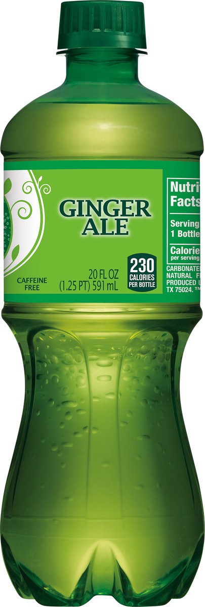 slide 3 of 7, Canada Dry Ginger Ale Soda, 20 fl oz bottle, 20 fl oz
