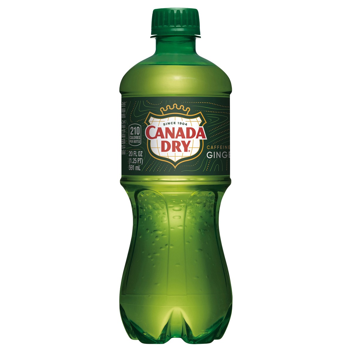slide 1 of 7, Canada Dry Ginger Ale Soda, 20 fl oz bottle, 20 fl oz