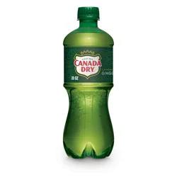 Canada Dry Ginger Ale Soda, 20 fl oz bottle