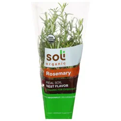 Soli Organic Rosemary 1 ea