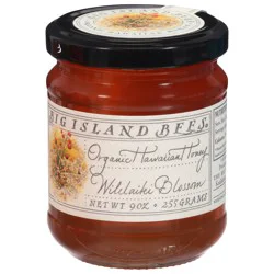 Big Island Bees Organic Hawaiian Wilelaiki Blossom Honey - 9 oz