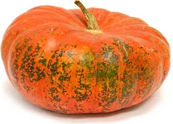 Pumpkins Cinderella