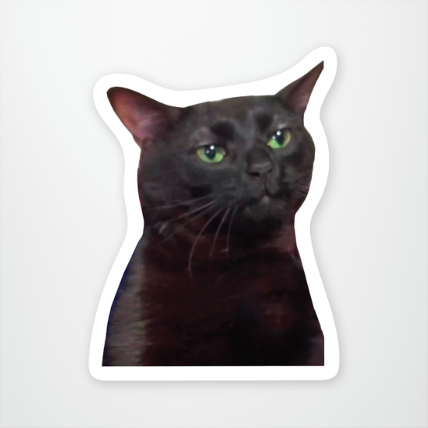 slide 1 of 1, Zoned Out Cat Sticker, 1 ct