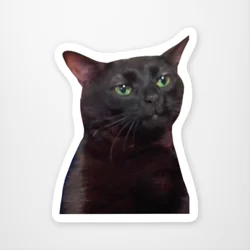 Zoned Out Cat Sticker