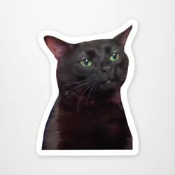 Zoned Out Cat Sticker