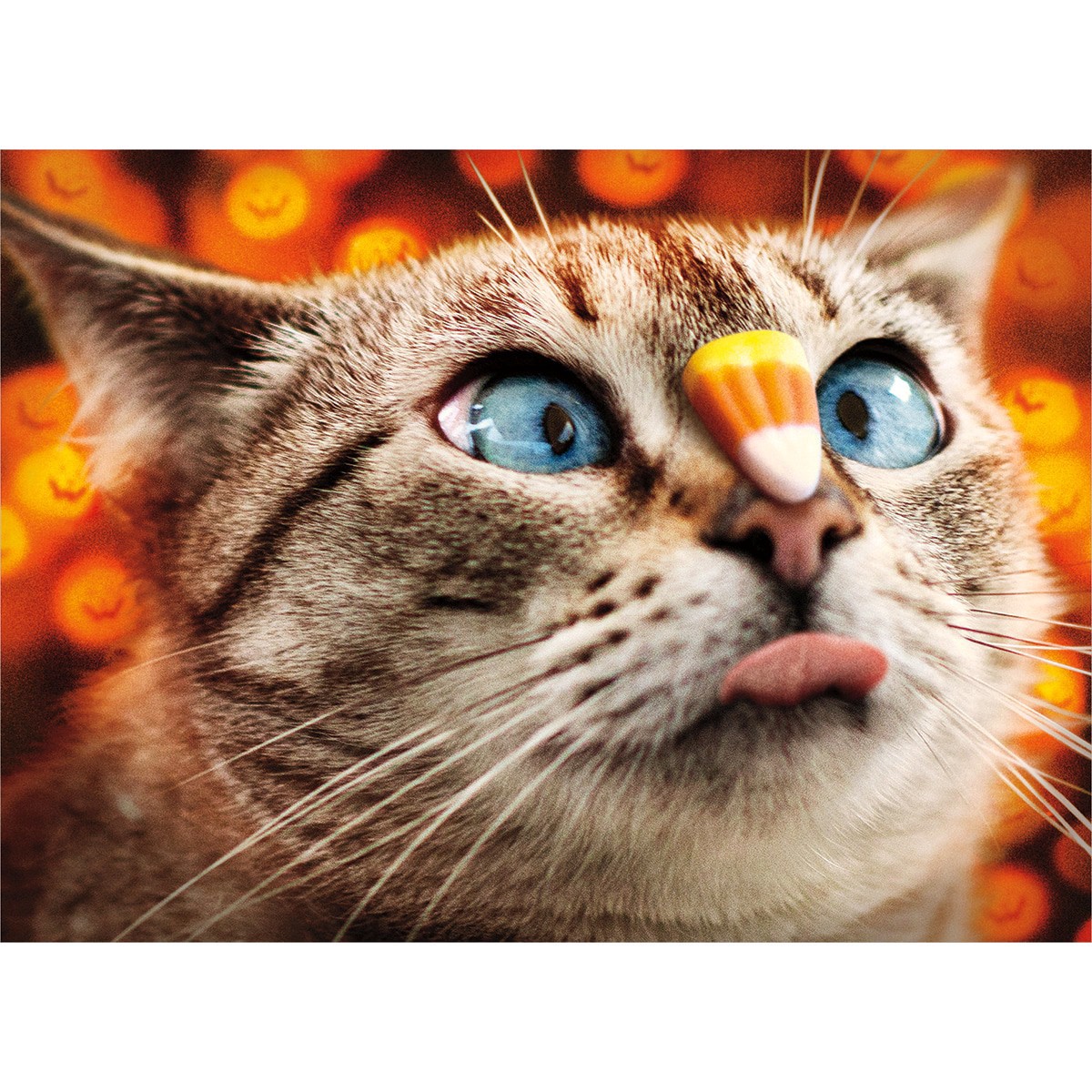 slide 1 of 1, Avanti Card Halloween Cat with Candy Corn, 1 ct