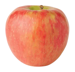 Organic Honeycrisp Apples
