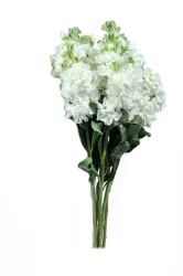 The Queen's Flowers Stock N Spray Florals