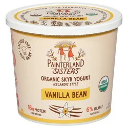 Painterland Sisters Icelandic Style Vanilla Bean Yogurt 24 oz
