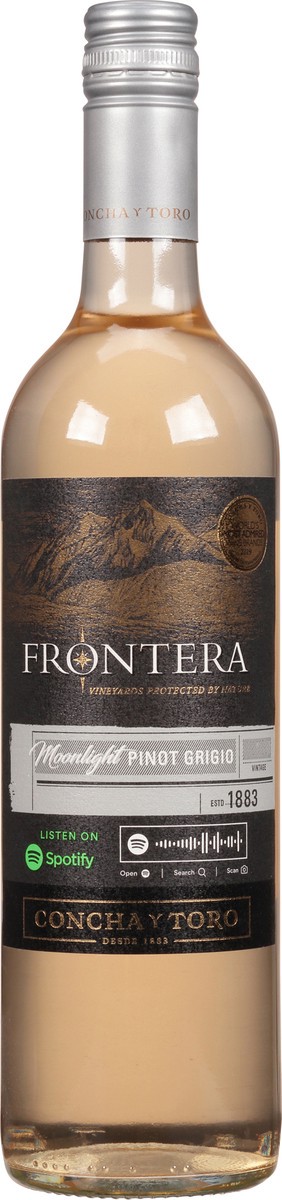 slide 1 of 12, Frontera Concha Y Toro Pinot Grigio, 750 ml