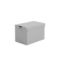 Real Home Toy Trunk Vapor Color