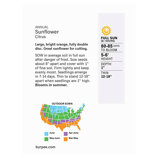 slide 2 of 5, Burpee Sunflower Citrus Seeds, 1 ct