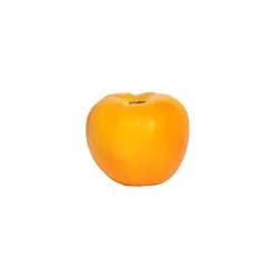 Yellow Tomato