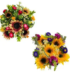 Central Market Baja Signature Bouquet, Colors Vary