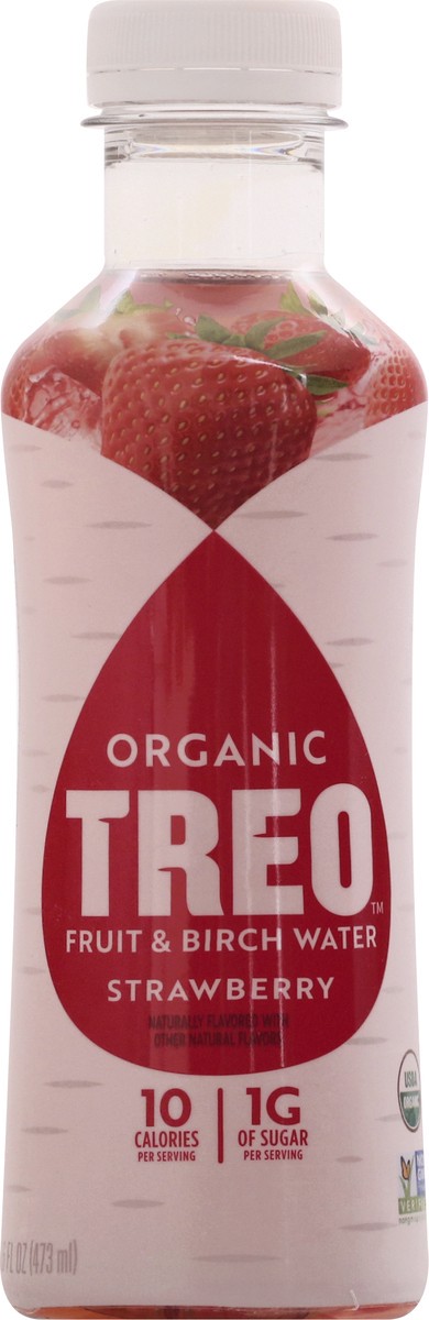 slide 2 of 13, Treo Strawberry Birch Water - 16 fl oz, 16 fl oz