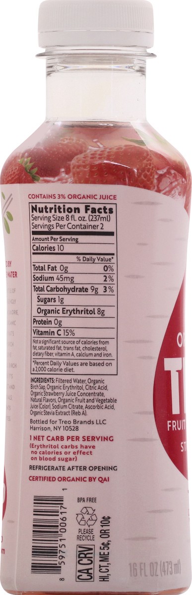 slide 7 of 13, Treo Strawberry Birch Water - 16 fl oz, 16 fl oz