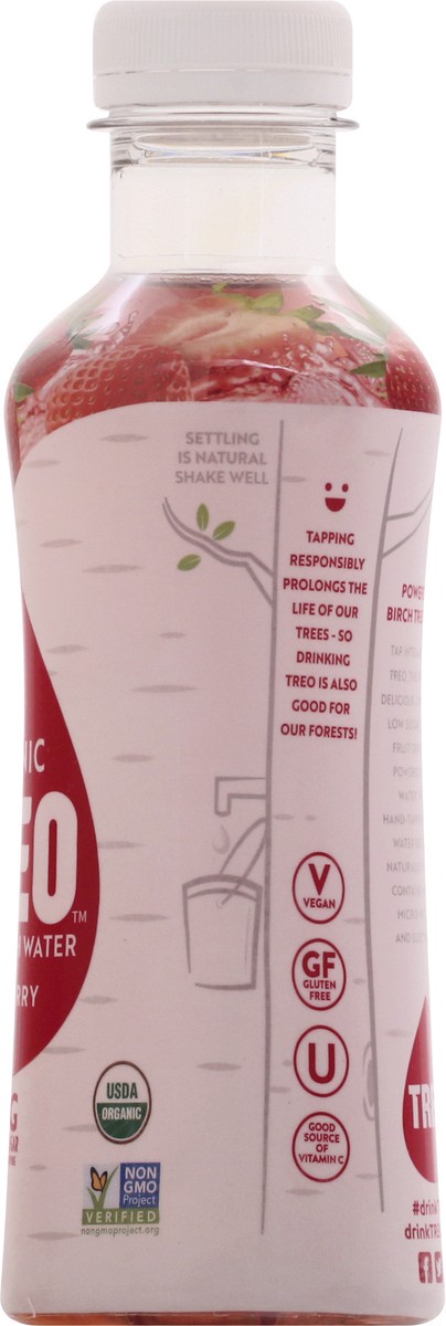 slide 13 of 13, Treo Strawberry Birch Water - 16 fl oz, 16 fl oz