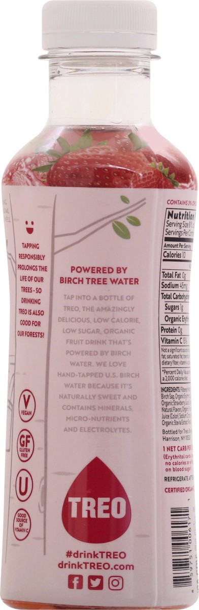 slide 10 of 13, Treo Strawberry Birch Water - 16 fl oz, 16 fl oz