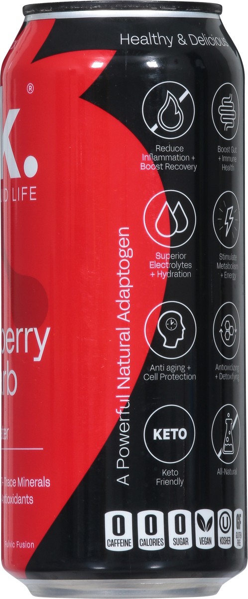 slide 2 of 14, blk. Sparkling Daily Detox Strawberry Rhubarb Fulvic Fusion 16 fl oz, 16 fl oz