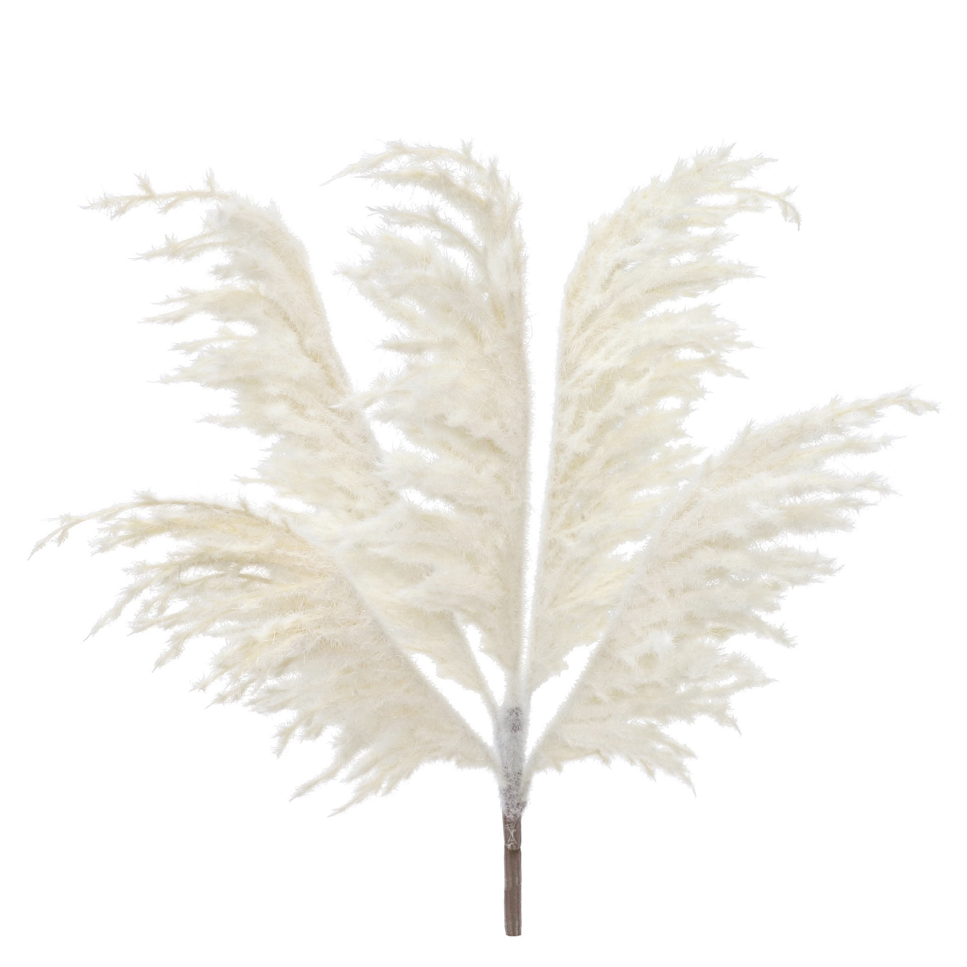 slide 3 of 3, 20" Cream Pampas Grass Deluxe Bush By Ashland, 10 in x 10 in x 20 in