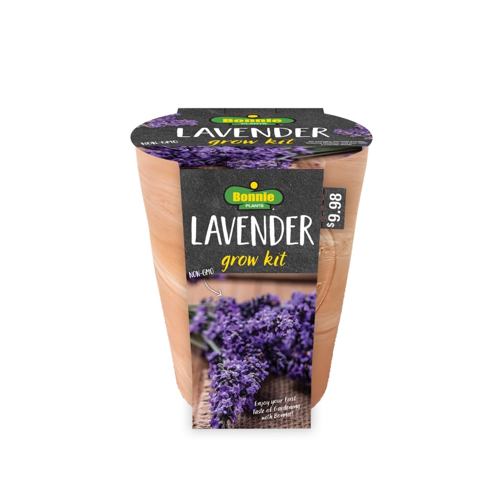 slide 1 of 1, Bonnie Plants Lavender Seeds Growing Kit, 1 ct