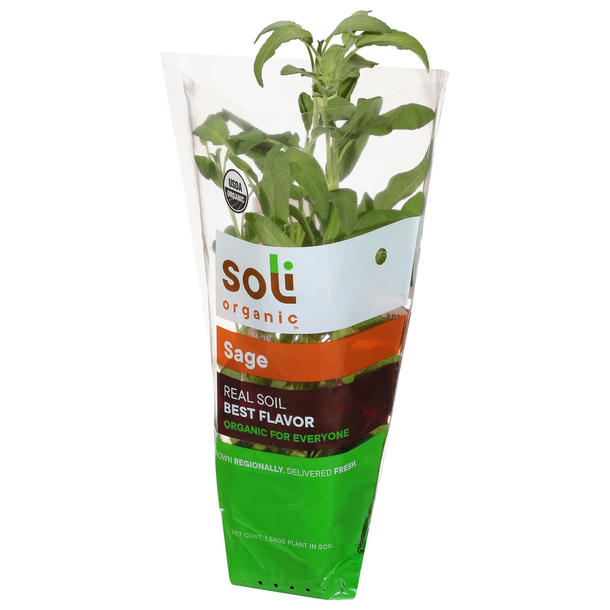 slide 2 of 11, Soli Organic Potted Sage 8 Cm, 1 ct