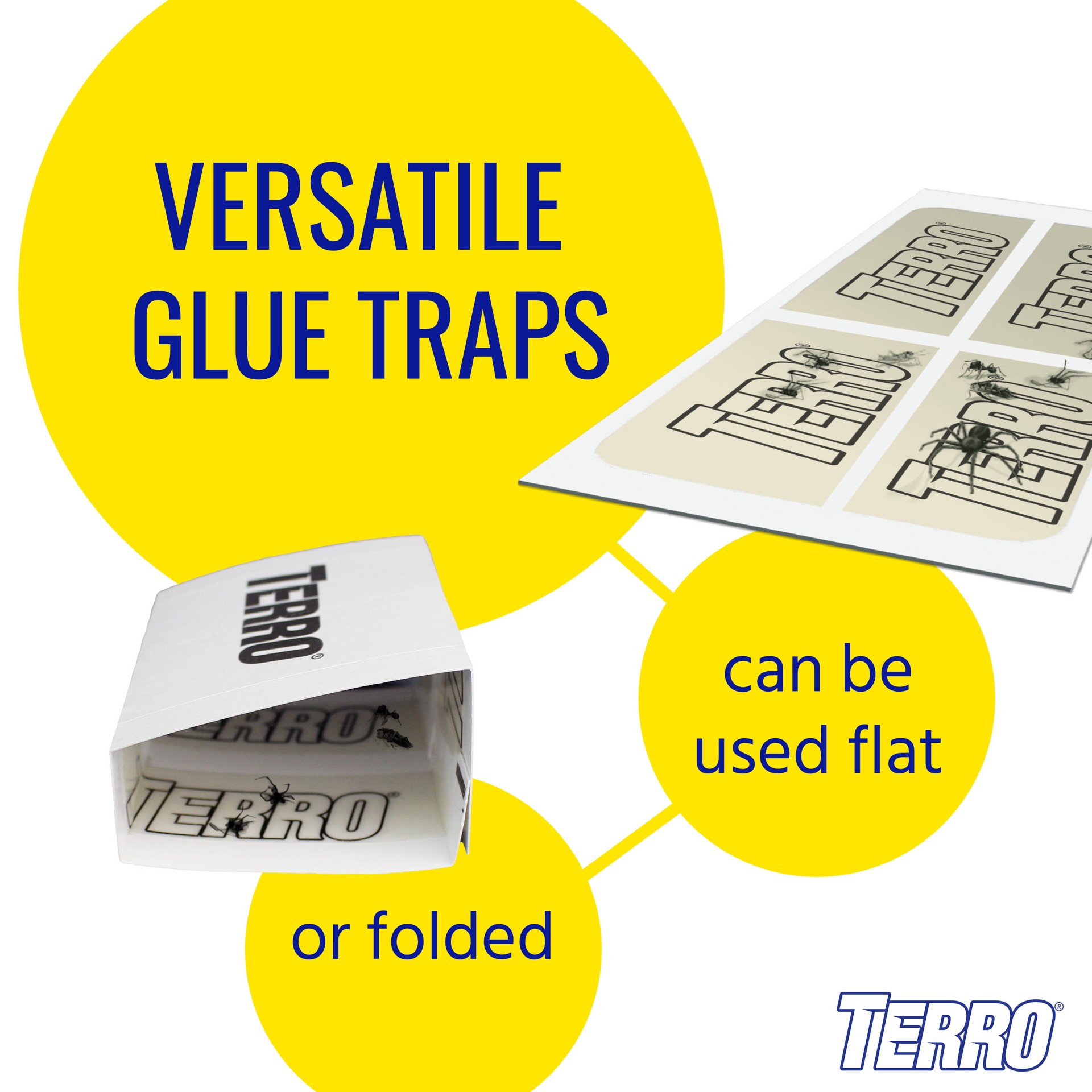 slide 6 of 6, TERRO Spider and Insect Indoor Glue Glue Insect Trap 4 -Pack, 1 ct