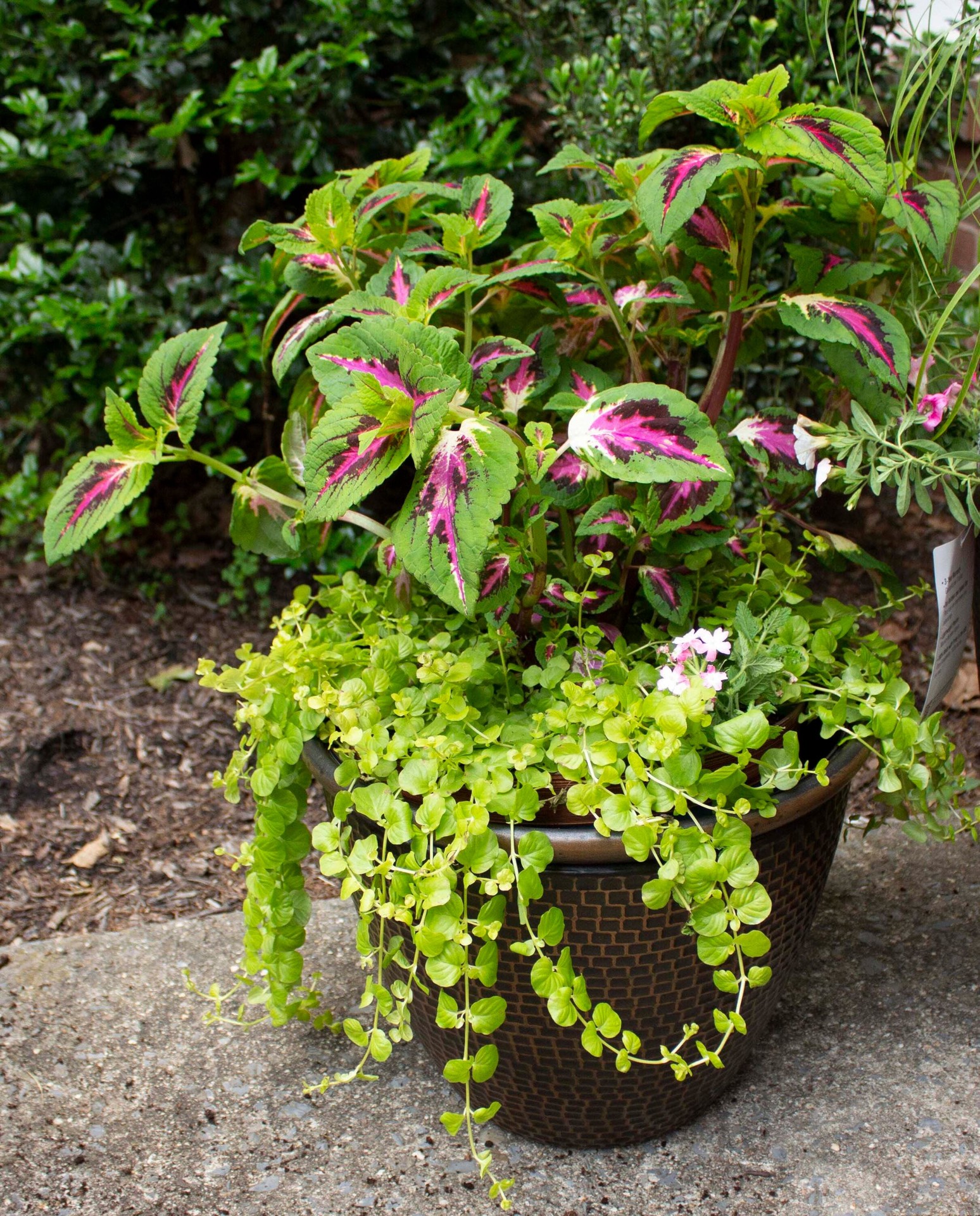 slide 2 of 6, allen + roth Round 19.09-in W x 19.09-in L Bronze Resin Indoor/Outdoor Planter, 1 ct