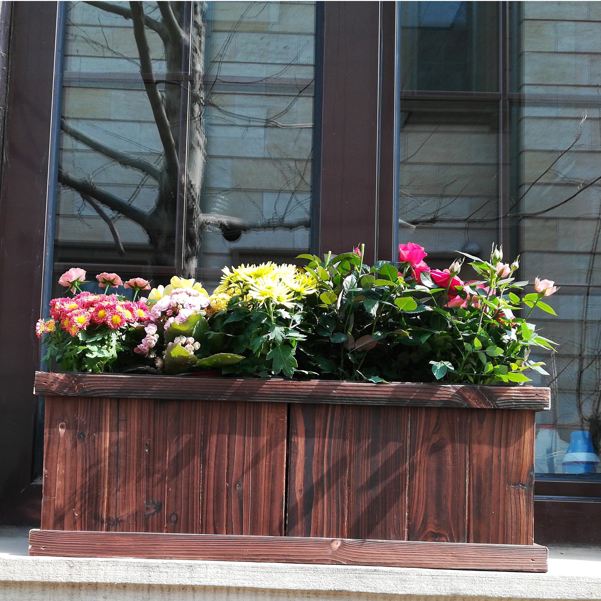 slide 2 of 6, Style Selections Rectangle 12.0-in W x 12-in H x 12-in D Black Wood Indoor/Outdoor Window box, 1 ct