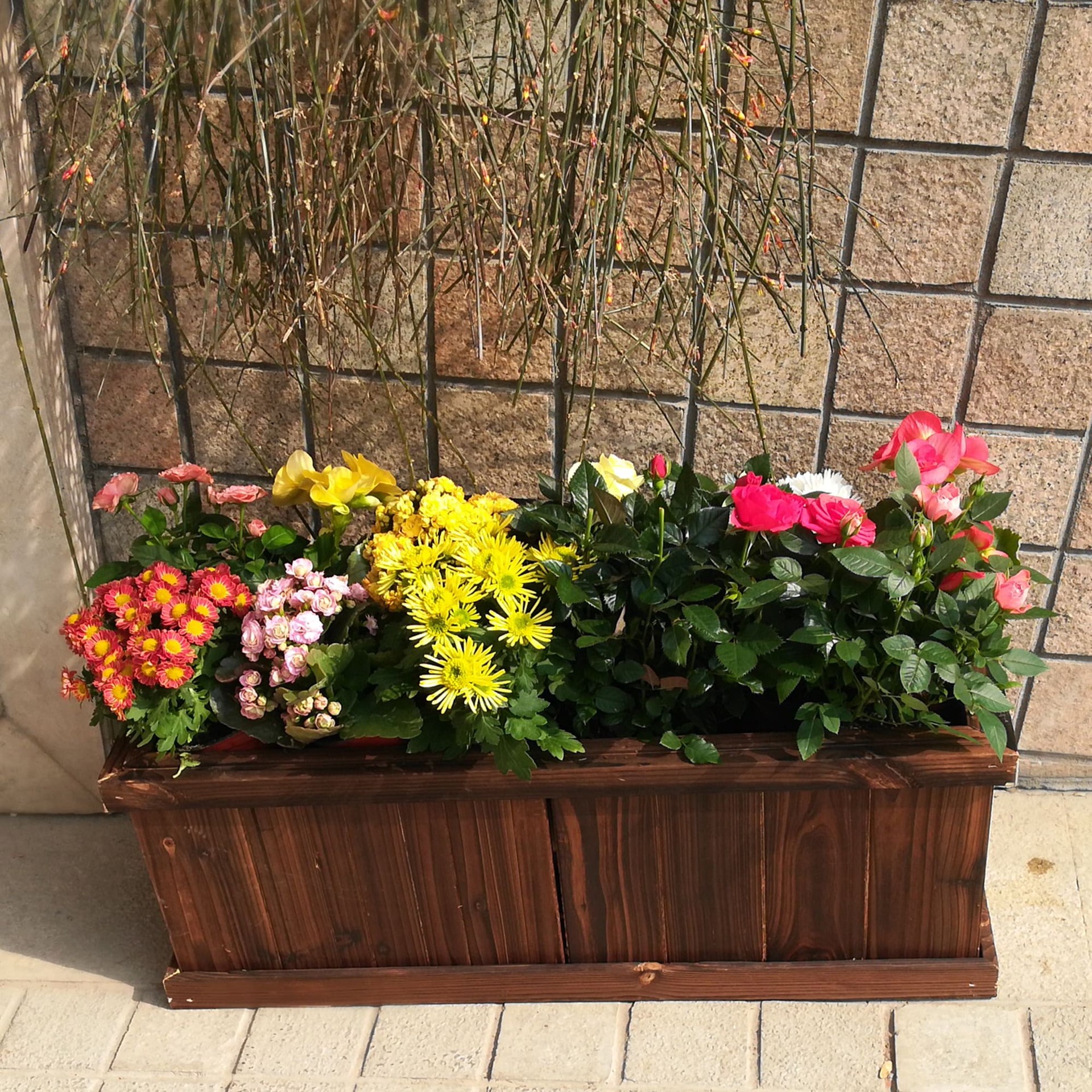 slide 5 of 6, Style Selections Rectangle 12.0-in W x 12-in H x 12-in D Black Wood Indoor/Outdoor Window box, 1 ct
