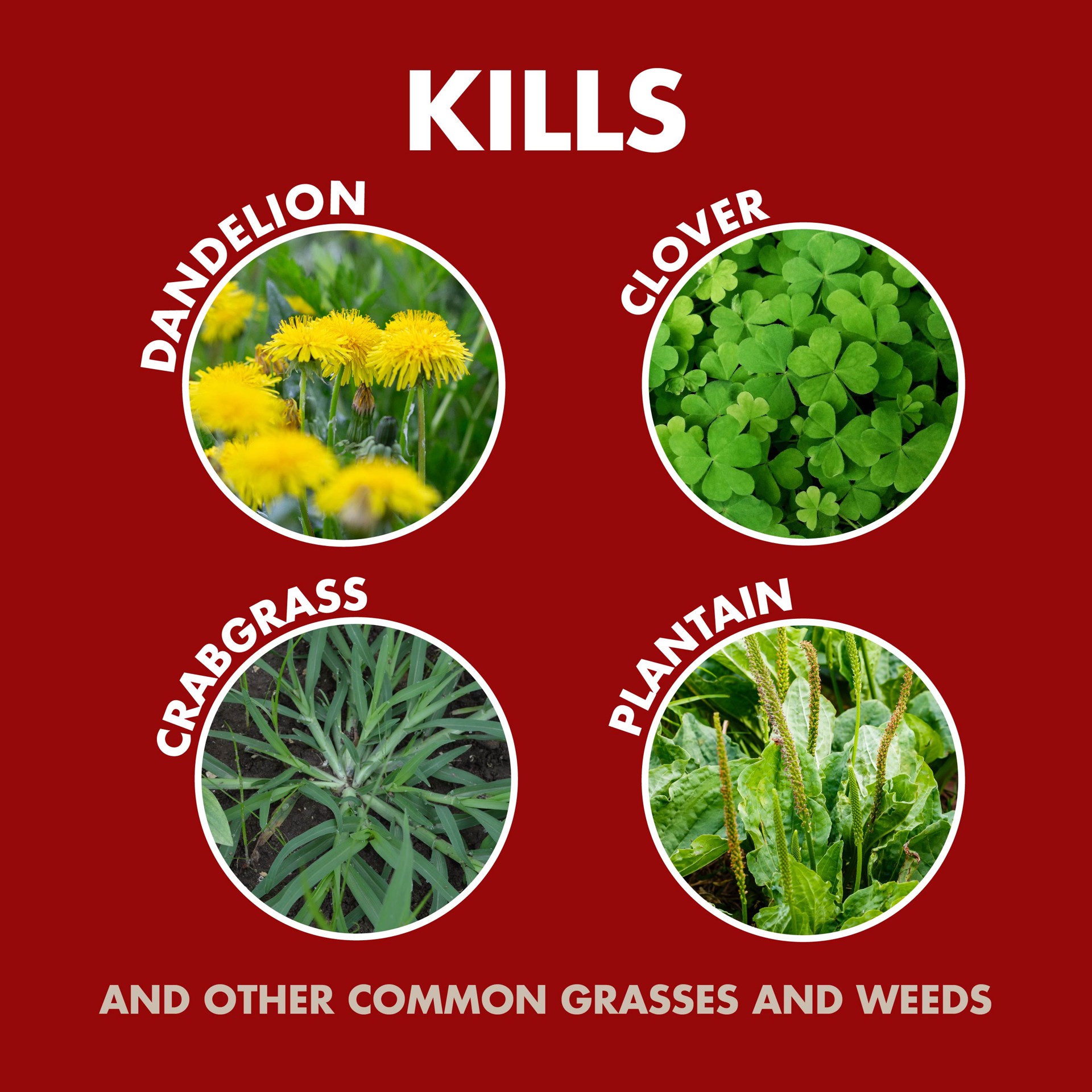 slide 5 of 6, Spectracide Ready-to-Use 32 -oz Trigger spray Weed and Grass Killer, 1 ct