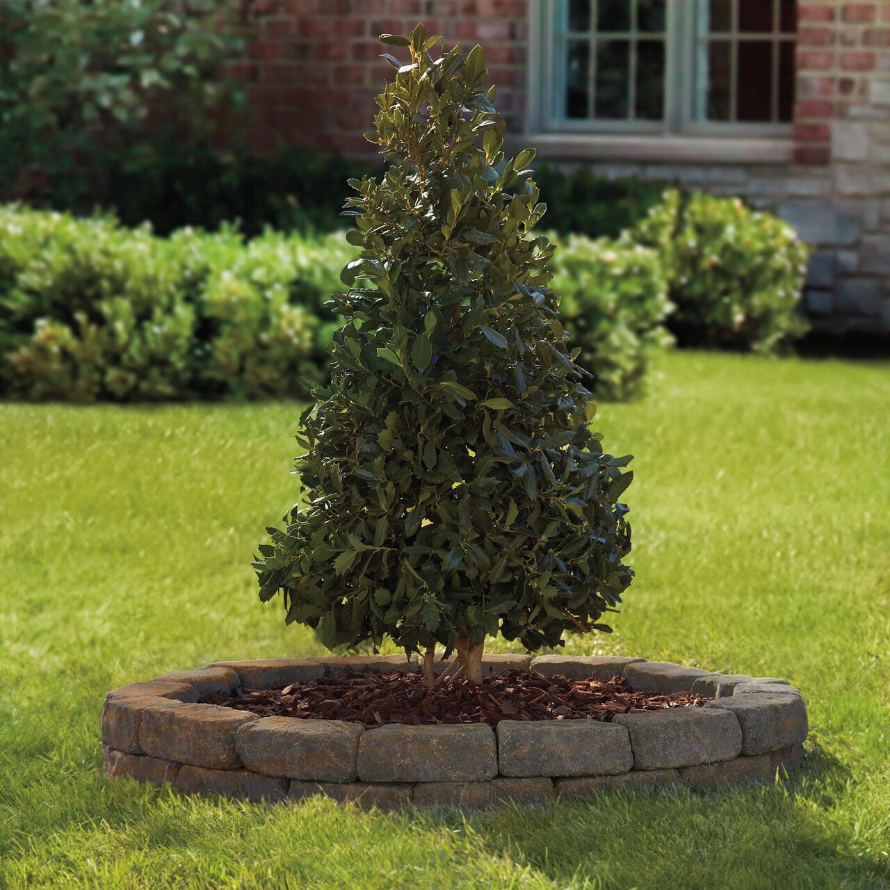 slide 5 of 5, 3.0-in H x 8.2-in L x 4.0-in D Chandler blend Concrete Retaining wall block, 1 ct