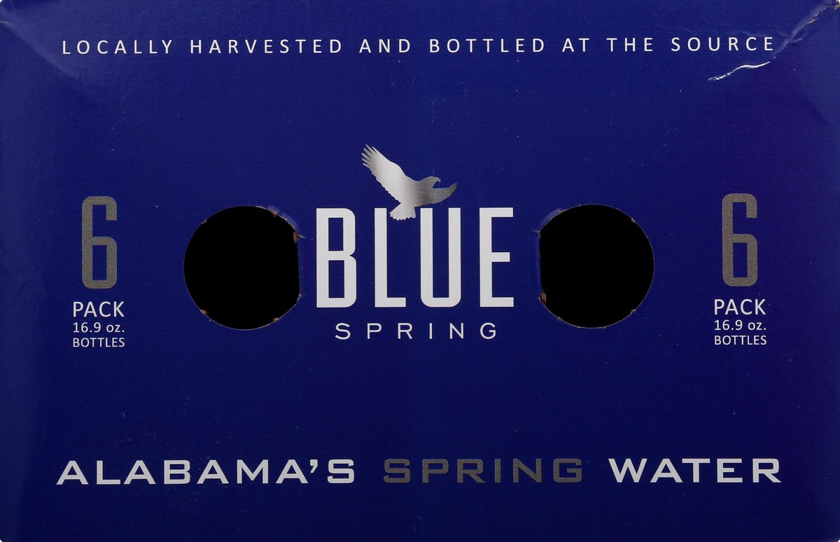 slide 4 of 11, Blue Spring Living Water - 6 ct, 6 ct