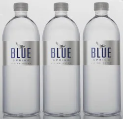 Blue Spring Living Water - 6 ct