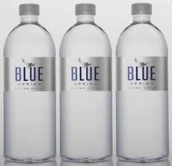 Blue Spring Living Water - 6 ct