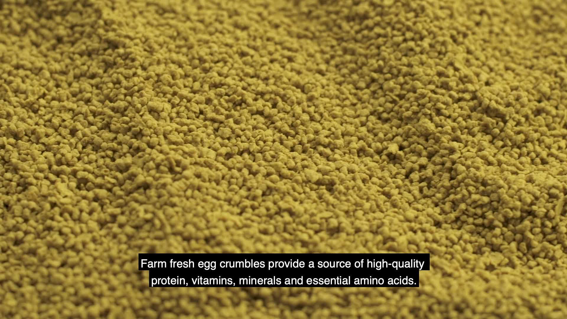 slide 6 of 8, Kaytee Forti-Diet Pro Health Egg-Cite! Food Cockatiel 5lb, 5 lb