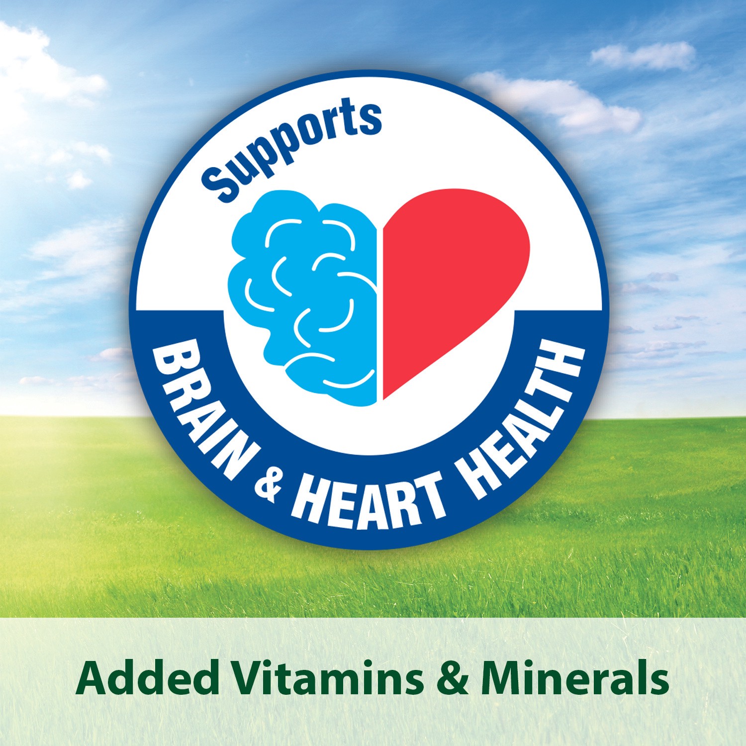 slide 3 of 8, Kaytee Forti-Diet Pro Health Egg-Cite! Food Cockatiel 5lb, 5 lb