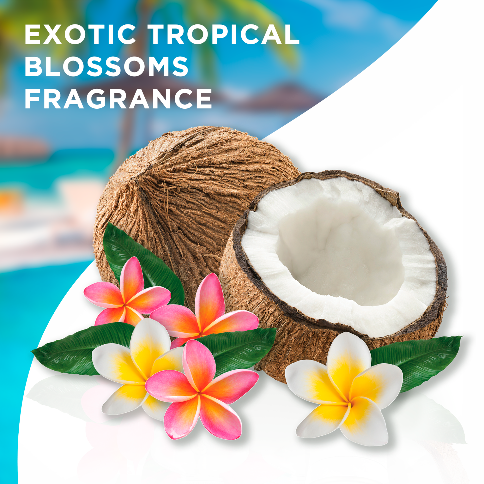 slide 4 of 7, Glade Exotic Tropical Blossoms 3 Wick Candle, 6.8 oz